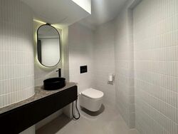 Ann Siang Road (D1), Shop House #554124091